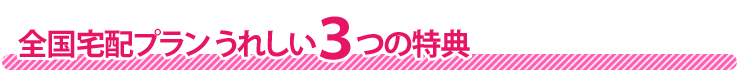 宅配プラン3つの特典