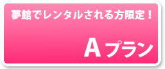 夢館の成人式振袖レンタルをご利用のお客様限定、Aプラン
